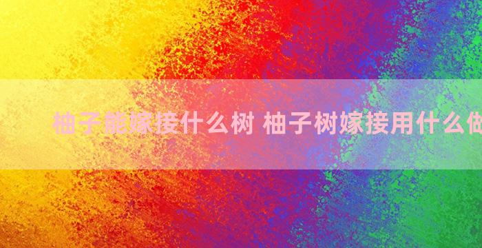 柚子能嫁接什么树 柚子树嫁接用什么做砧木好